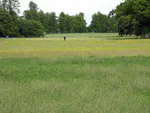 Nutrient use and nutrient requirements for turfgrass