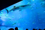 Ocean Expo Research Center Special Lecture, 24 August