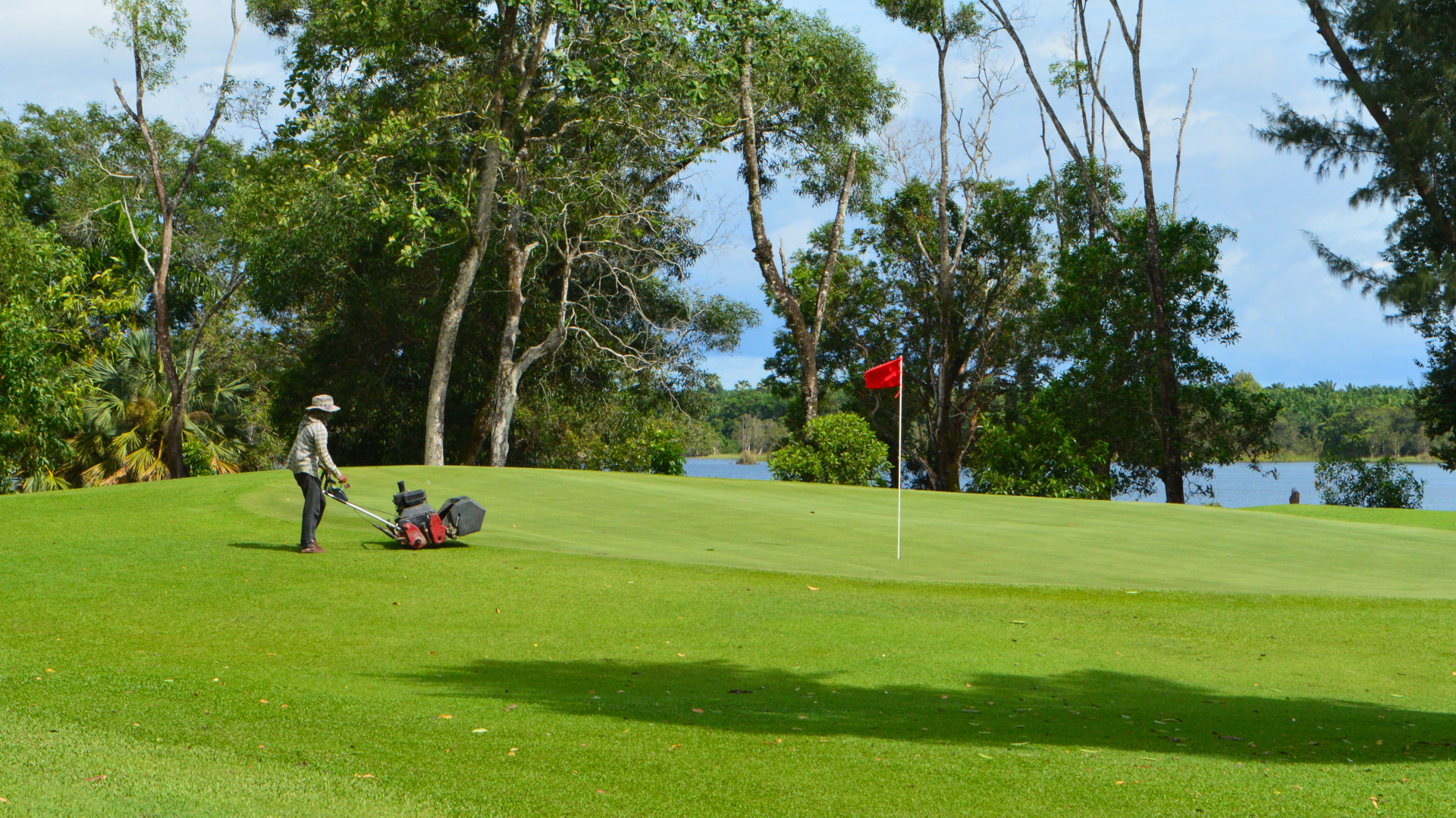 Of trees, turf, and tropical tournament golf Asian Turfgrass Center