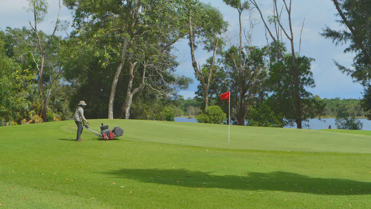 The 7th at Pakasai CC in Krabi, Thailand: manilagrass greens (3.5 mm), carpetgrass through the green (8 mm on surrounds)