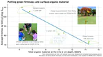 OM2 and firmness