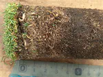 OM246 measures living organic material too