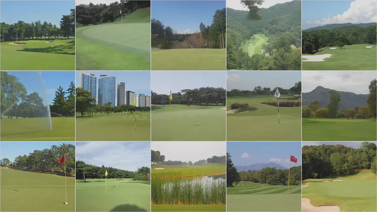 Figure 1. A montage of images showing some of the locations from which samples were included in the MLSN dataset.