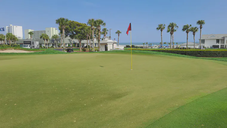 The 9th green at the Dunes Club is Champion ultradwarf bermudagrass; tees and fairways and rough are bermudagrass overseeded with perennial ryegrass.