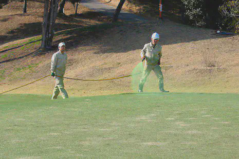 Applying colorant to a korai tee in Hyogo-ken