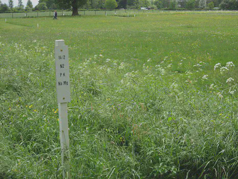 The types and rates of fertilizer and lime applied to the Park Grass experiment result in dramatic differences in species composition and plot appearance.