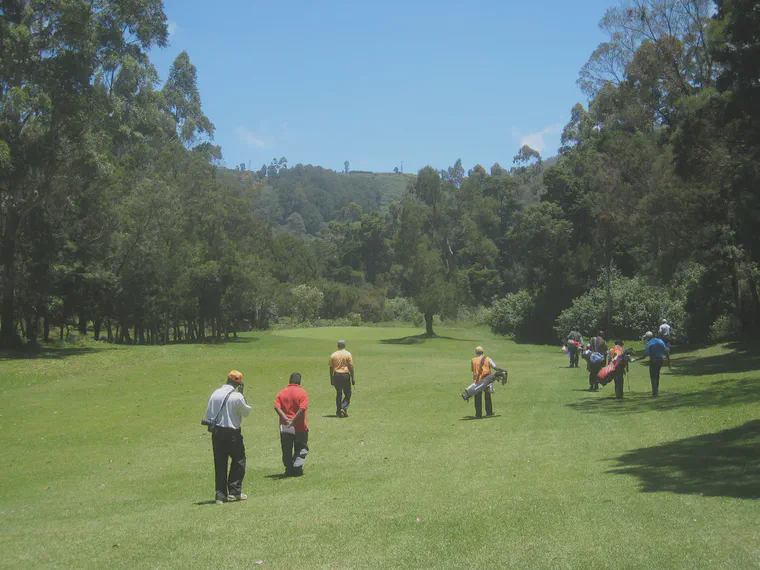 Nuwara Eliya GC in Sri Lanka is at such a high elevation that temperatures stay below the optimum for cool-season GP.