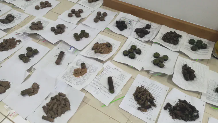 Soil samples drying on a condominium floor in Bangkok.