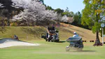 Sand topdressing measurement by exact methods
