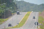 Sodding highway median strips with zoysia