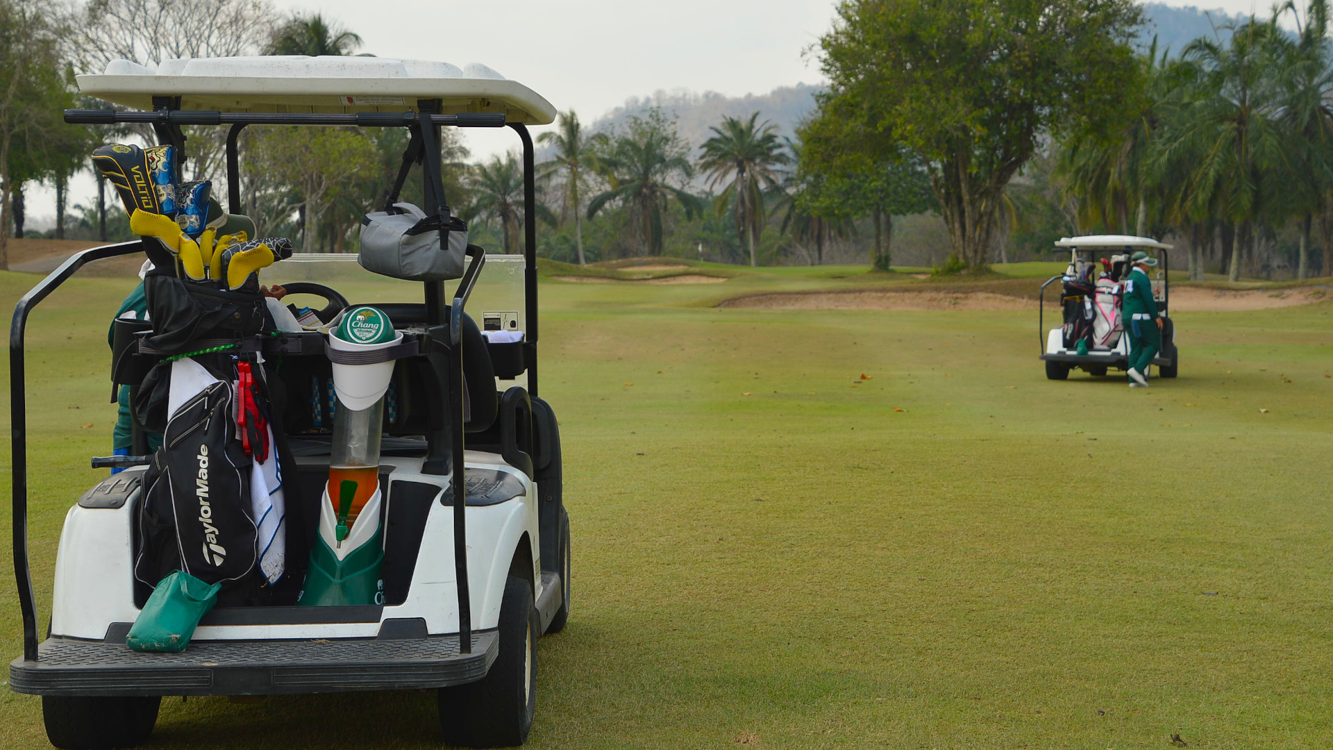 Soil nutrients and extra beer