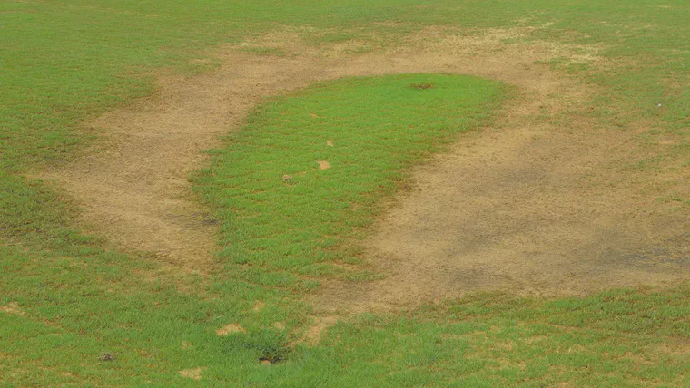 The seashore paspalum turf on the high areas of this fairway is fine, but it has died in the low areas where salt accumulated, except where a leaking sprinkler has supplied a sufficient leaching fraction.