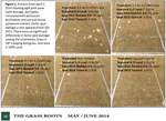 Spots of excitement in a boring experiment