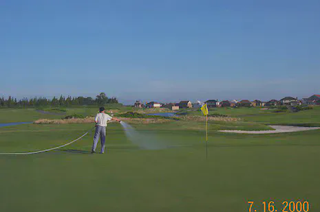Handwatering a creeping bentgrass green during summer at Shanghai Links Golf & Country Club
