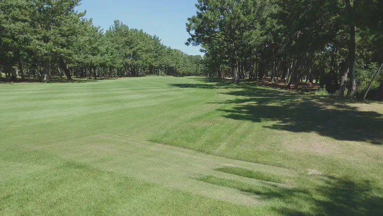 A thumbnail image like this might draw more clicks? But I'd like the content in each post to stand on its own. This is a deliberate mow of fairway cut into the rough to facilitate surface drainage at a high rainfall location in western Japan.