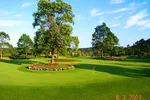 Ten Years Ago on a Golf Course in Japan: part 2
