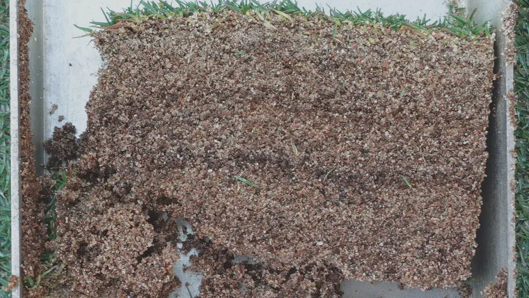 The total organic material at the surface of a rootzone can be divided into soil organic matter and undecomposed living and dead organic material.