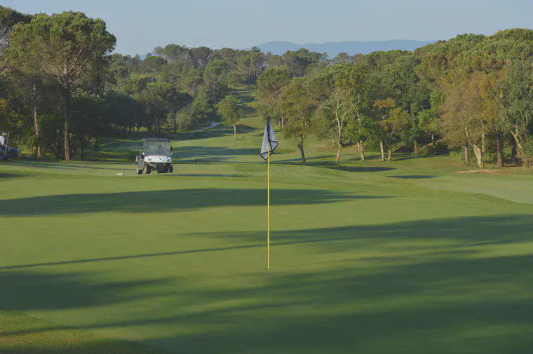 Creeping bentgrass in a transition zone climate thrives when supplied with nutrients based on MLSN.