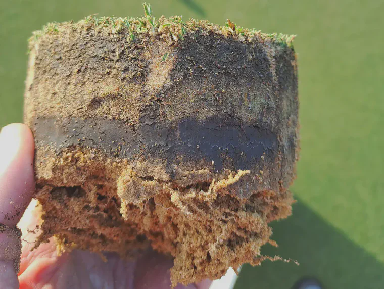 The soil layer in the practice putting green is there because of sod (with soil) at some time in the past. Although layers are not desirable, in this case the layer doesn't cause a problem with water movement or with root growth.