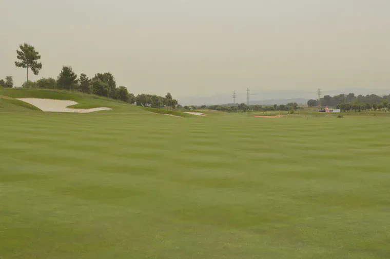 Creeping bentgrass on the 1st fairway at Real Club de Golf El Prat