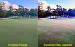 A turf (and soil) paradox