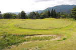 Turfgrass ecology, part 1: abandoned turf in Japan