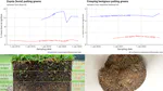 Two soil organic matter timelines