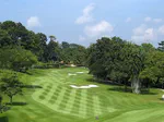What Fertilizer is Best for Zoysiagrass?