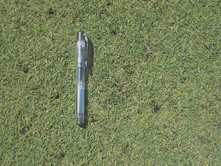 With low rates of nitrogen applied, this bentgrass green was taking a long time to grow over aerification holes.