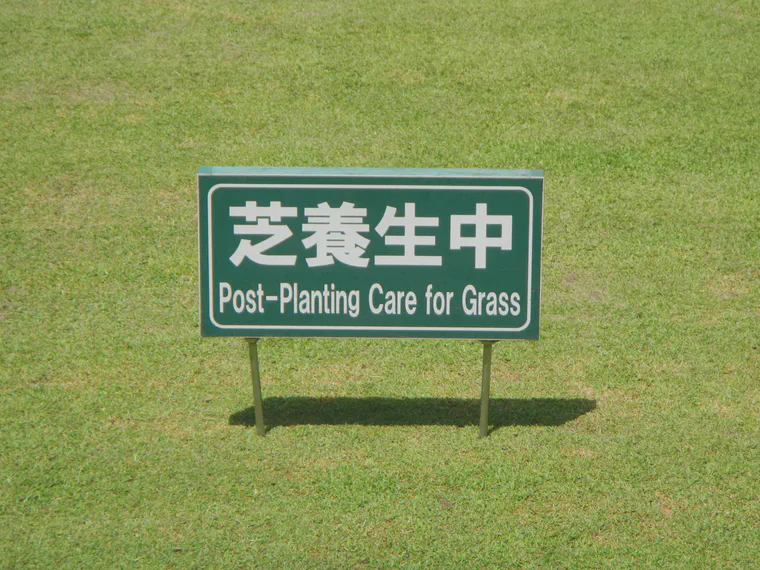 I'd generally like to minimize disturbance, to have less of a need to care for the grass.