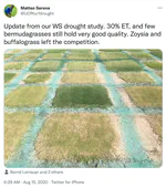 Zoysia, water use, and fact checking