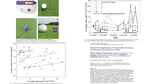 Potassium supply rate as measured by exchange membranes in a calcareous sand